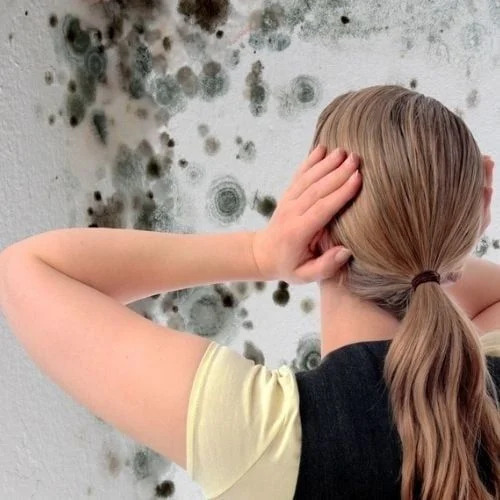 izower M 30 Küf ve Rutubet Önleyici Anti-Mould Paint - Image 3